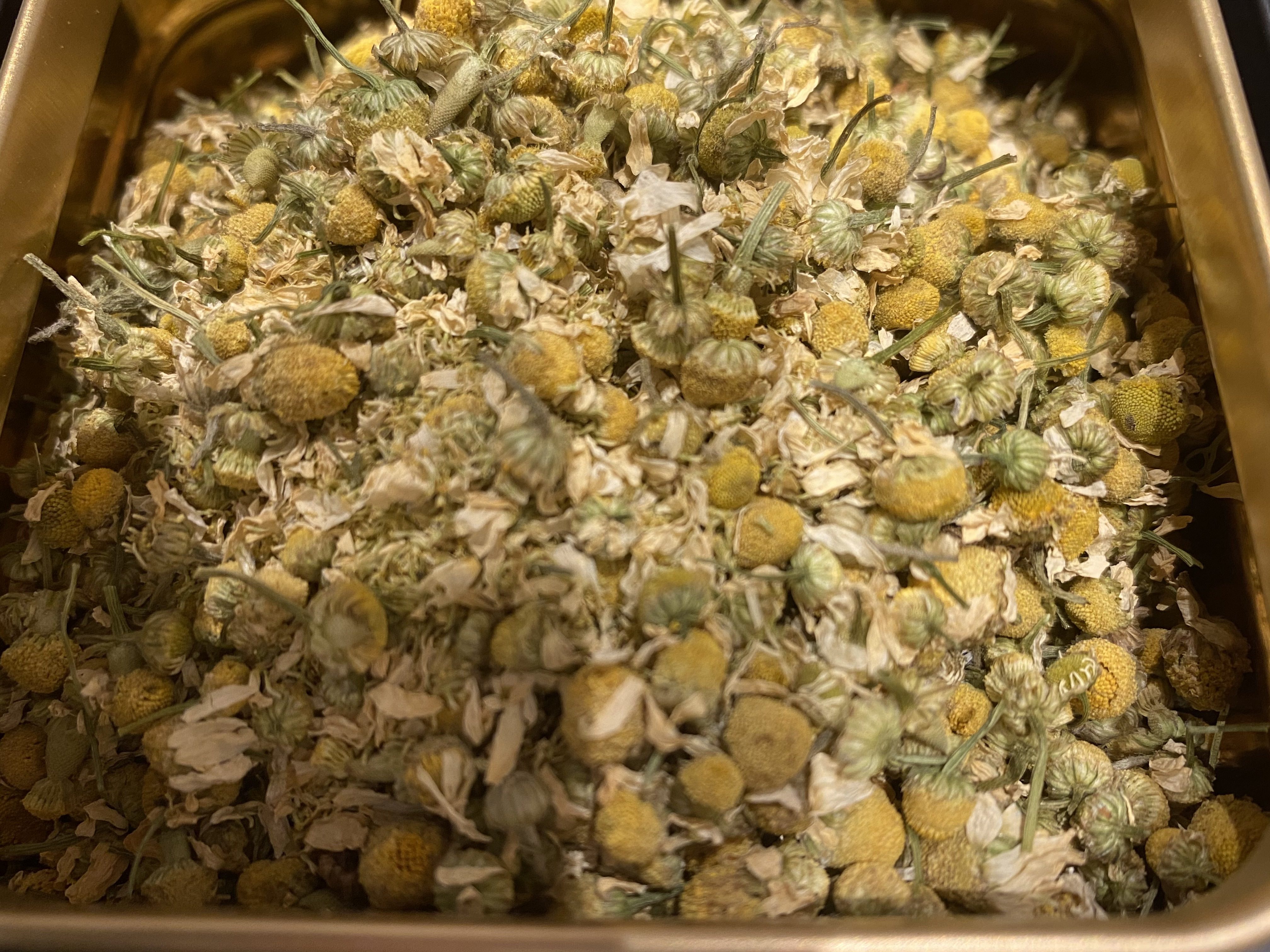 Chamomile Herbal