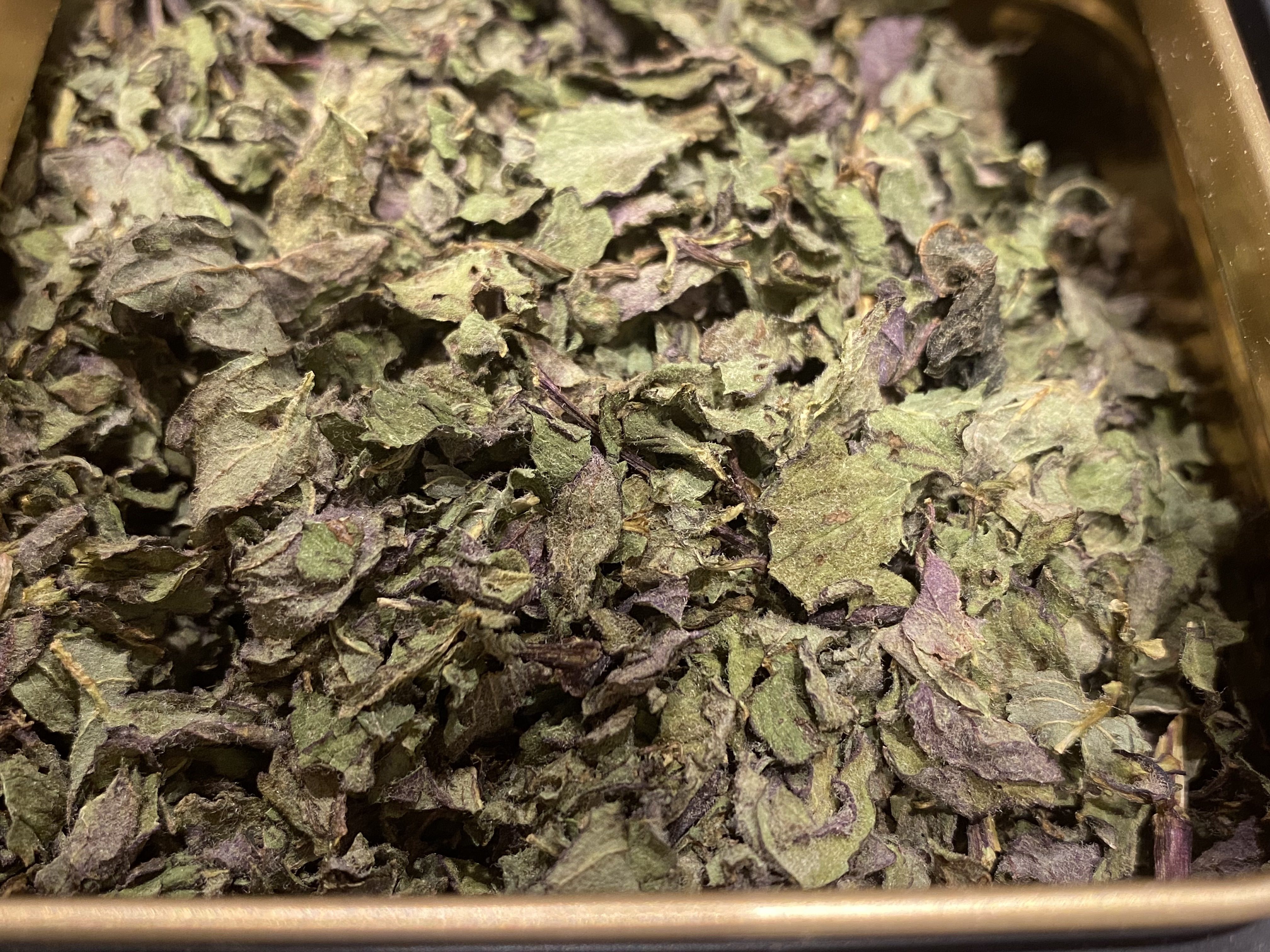 Peppermint Herbal