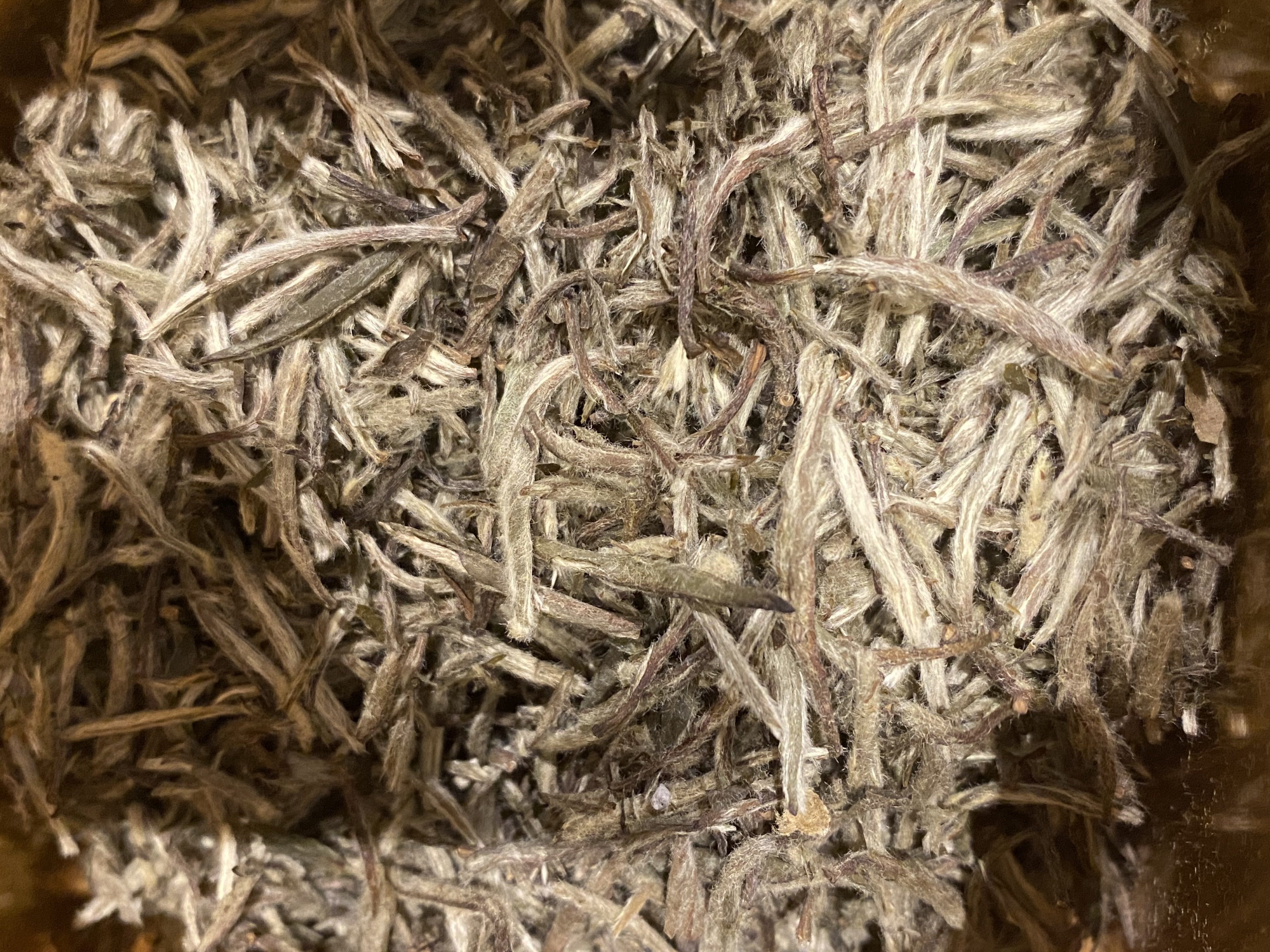 Junshan Yinzhen